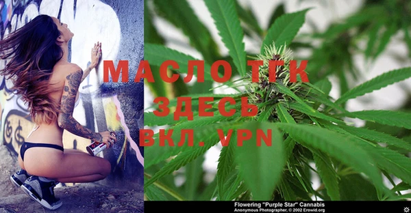 дмт Кинешма
