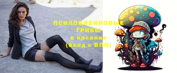 дмт Кинешма