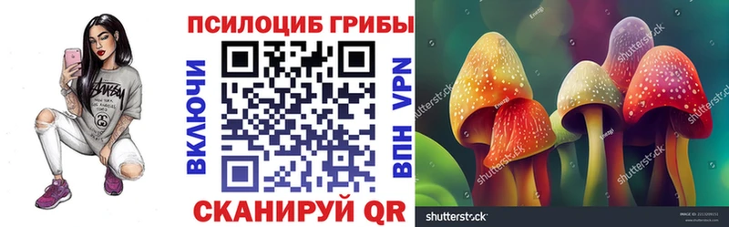 Купить где  Гагарин  Псилоцибиновые грибы мицелий 
